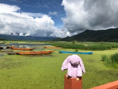 -泸沽湖国家级风景名胜区走婚桥