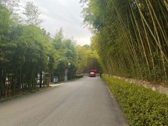-天目湖涵田度假村