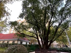 -徐家汇源景区-衡山公园