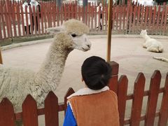 -国色天乡三期陆地乐园