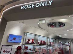 -ROSEONLY诺誓(广州K11店)