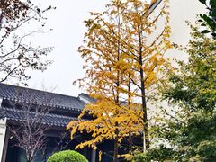 -雅达·阳羡溪山小镇中心