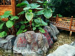 -龙达温泉生态城