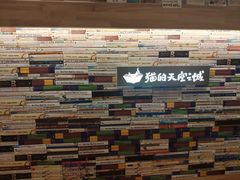 -猫的天空之城概念书店(束河店)