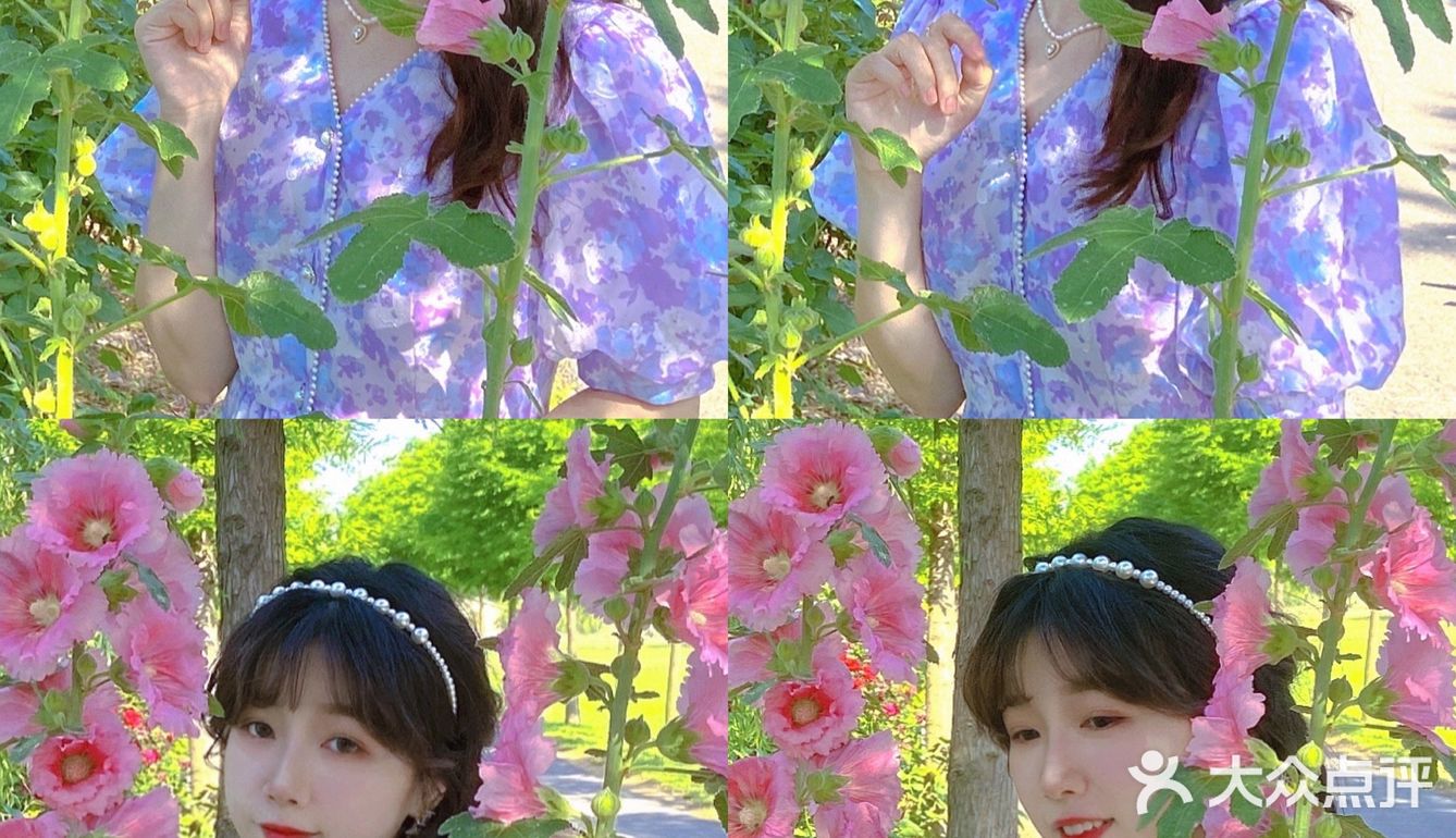 假期浪计划 | 双龙湖花花世界打卡拍照