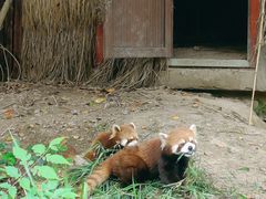 -宁波野生动物园