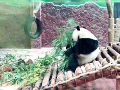 -黔灵山公园-南门售票处