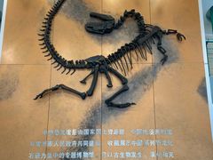 -中华恐龙园