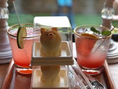 -柴犬高等学院·狗咖·柴犬售卖·宠物训练