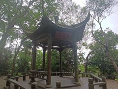 -江心屿景区