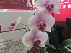 -招商银行(苏州分行营业部)