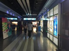 -华美影城(马栏广场店)