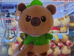 -可爱抓 COCO  GOTCHA(天津鹏欣水游城店)