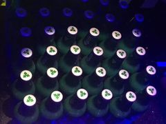 -温莎KTV(珠江路店)