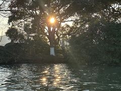 -中国茶叶博物馆(双峰馆区)