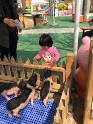 -萌宠亲子动物乐园(槐房万达店)