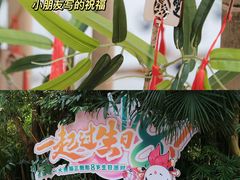 -广州长隆野生动物世界