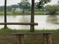 -金谷域澳洲庄园