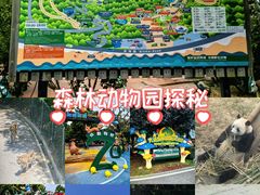 -大连森林动物园