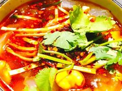 -鼓楼东街老火锅(鼓楼店)