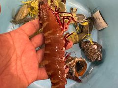 -外滩18号海鲜(三亚湾龙兴海鲜广场店)