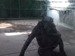 -石家庄市动物园