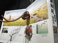 -西峡恐龙遗迹园