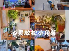 -吉丁鸟咖·异宠·寄养