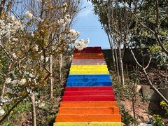 -桃源山庄·水蜜桃采摘·柴火鸡·烧烤团建(龙泉山店)