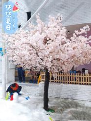 -Mr·Kuma酷么先生雪之乐园