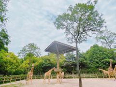 -上海野生动物园