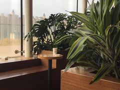 -Seesaw Coffee(朝阳大悦城店)