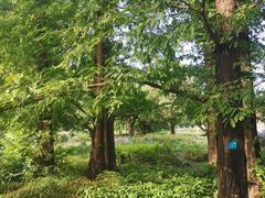 -国家植物园南园