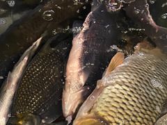 -岳各庄批发市场(西四环中路店)