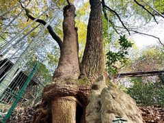 -宝岩生态观光园