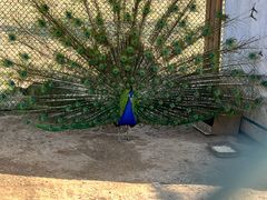 -潭柘厚院&山顶烤肉(潭柘寺店)