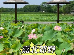 -嘉北郊野公园