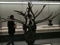 -荆州博物馆