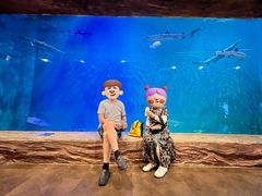 -华夏文旅海洋公园