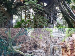 -龙达温泉生态城