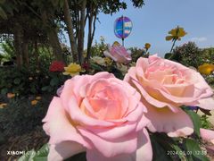 -祥源·阜阳生态乐园