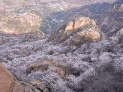 -北京凤凰岭