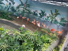 -成都动物园