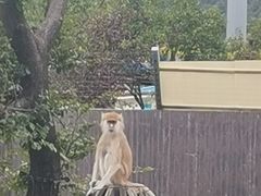 -上方山森林动物世界