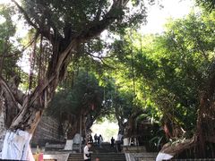-胡里山炮台