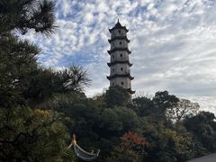 -江心屿景区