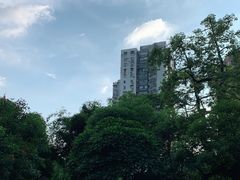 -晓港公园