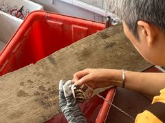 -阳澄湖大闸蟹·琼灵阁牌品牌连锁(吴中总店)