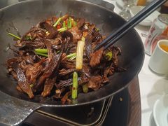 -新乾隆酒楼(帝景园店)