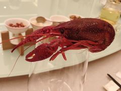 -悦融琥珀·京鲁菜·海味珍品(西单店)